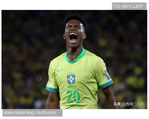 从足球小狗到绿茵场上的闪耀明星,它的传奇之路让人热血沸腾